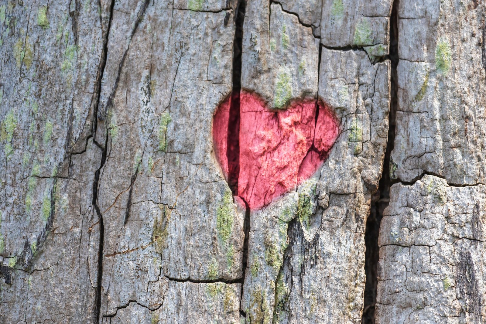 What I Never Told My Ex: Lessons Learned After the Breakup